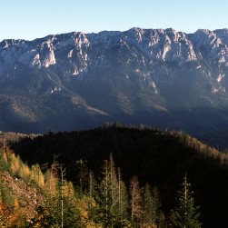 4 days exploring the wild fauna of the Carpathian Mountains  