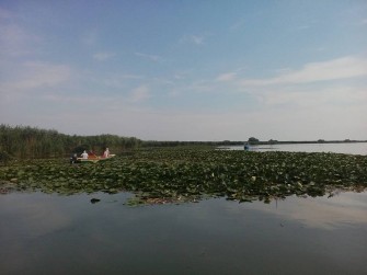 7 Days to discover the Danube Delta in Romania
