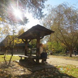 Călătorie de o zi în jurul Bucureștilor