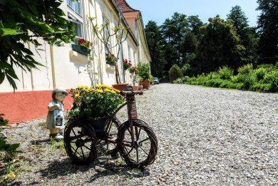 Tabără de vară la Hotel Brukenthal în Avrig