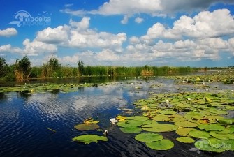 7 Days to discover the Danube Delta in Romania